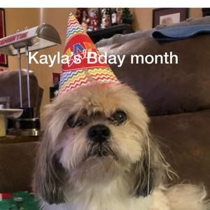 Meet your Posher, Jan